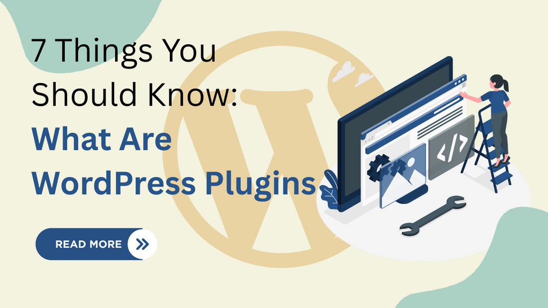 What Are WordPress Plugins
